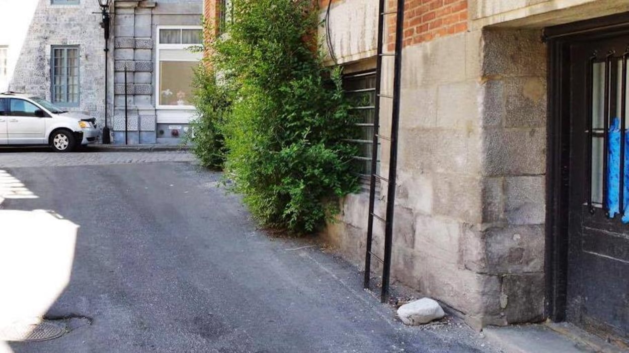 La ruelle avec une échelle et des voitures La ruelle avec une échelle et des voitures