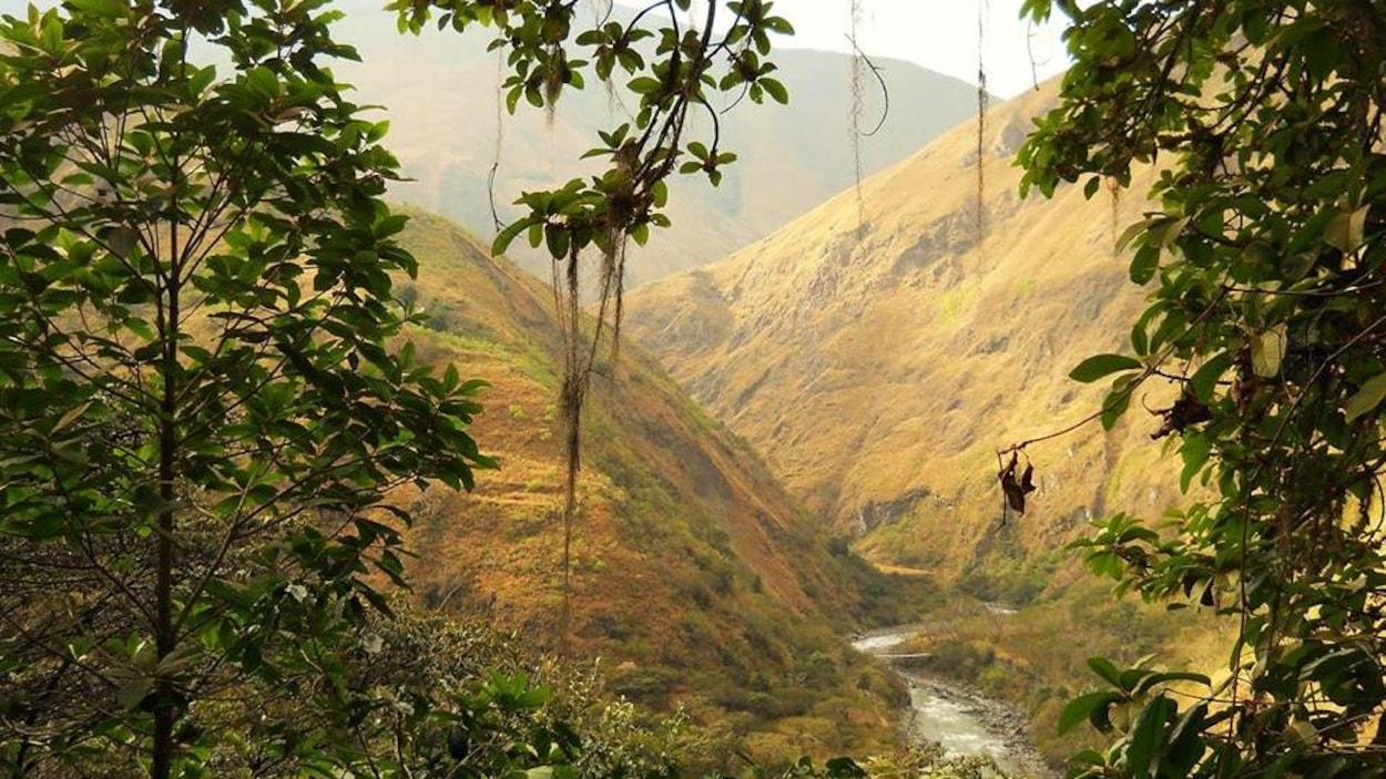 Sentier de trekking dans les Andes emprunté par Élizabeth Lahaie lors de son passage au Paititi Institute, au Pérou. Sentier de trekking dans les Andes emprunté par Élizabeth Lahaie lors de son passage au Paititi Institute, au Pérou.