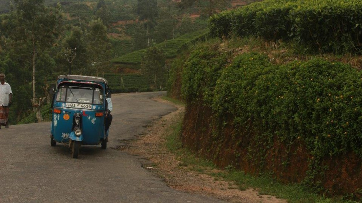 Un touk-touk circulant dans une rue au Sri Lanka. Un touk-touk circulant dans une rue au Sri Lanka.