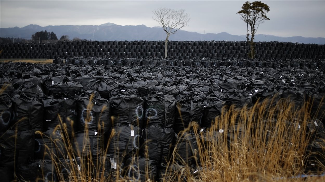 Sacs contenants de la terre et des débris radioactifs jetés dans un dépotoir « temporaire » à Fukushima, le 22 février 2015. Sacs contenants de la terre et des débris radioactifs jetés dans un dépotoir « temporaire » à Fukushima, le 22 février 2015.