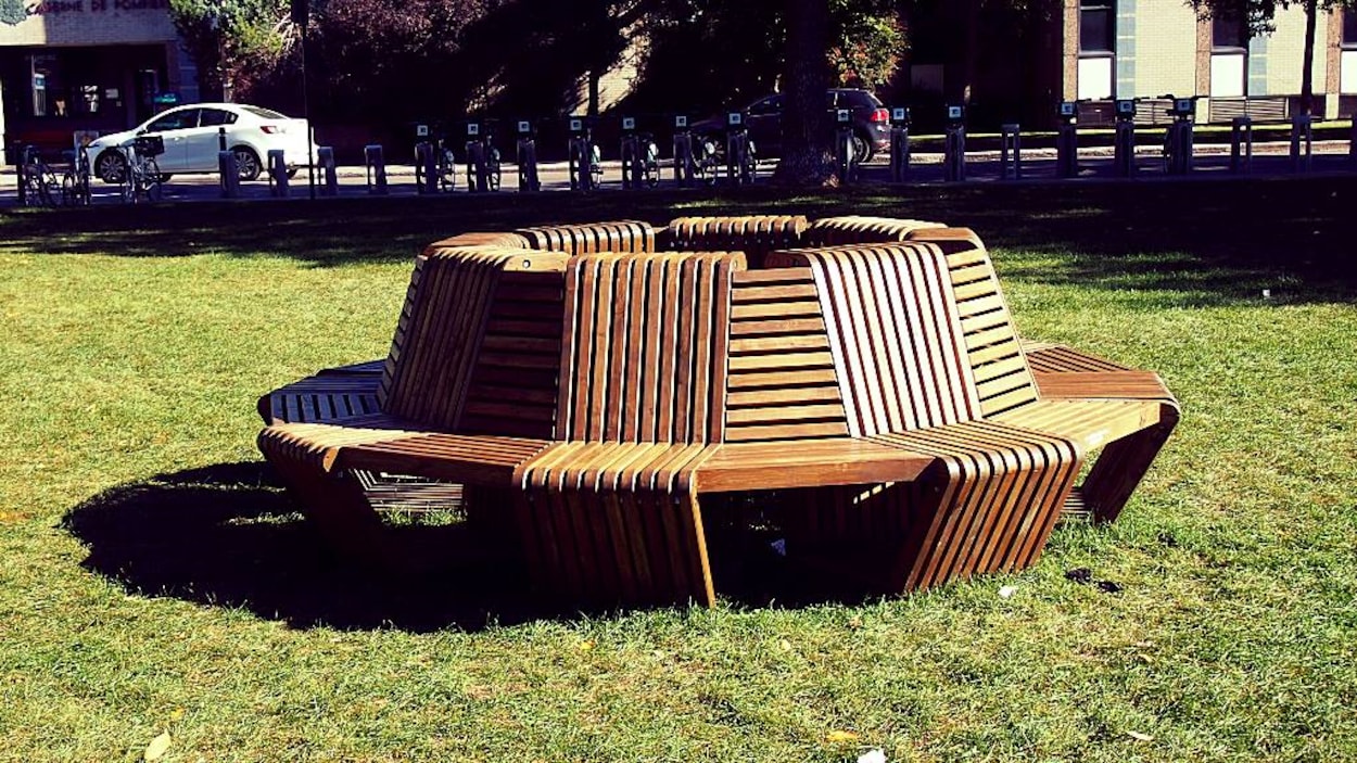 Un banc circulaire dans un parc de Montréal Un banc circulaire dans un parc de Montréal