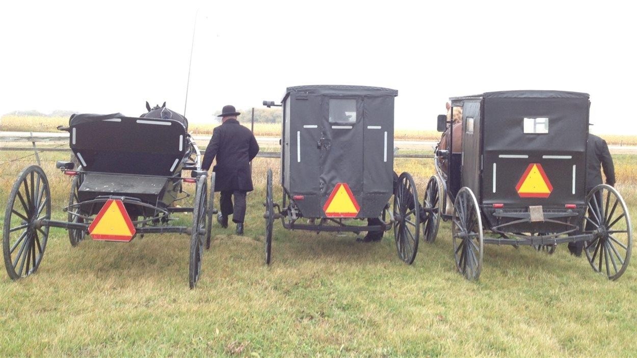 Des mennonites manipulent trois charrettes en bordure d'une route. Des mennonites manipulent trois charrettes en bordure d'une route.