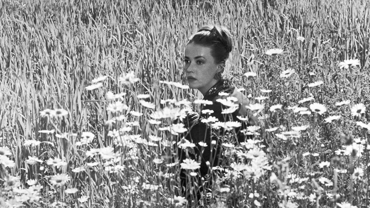 Jeanne Moreau dans le film Mademoiselle de 1963, coiffée d'un chignon, assise dans un champ de marguerites Jeanne Moreau dans le film Mademoiselle de 1963, coiffée d'un chignon, assise dans un champ de marguerites
