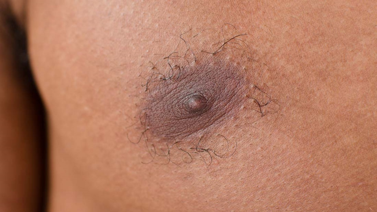 Gros plan sur une poitrine masculine Gros plan sur une poitrine masculine