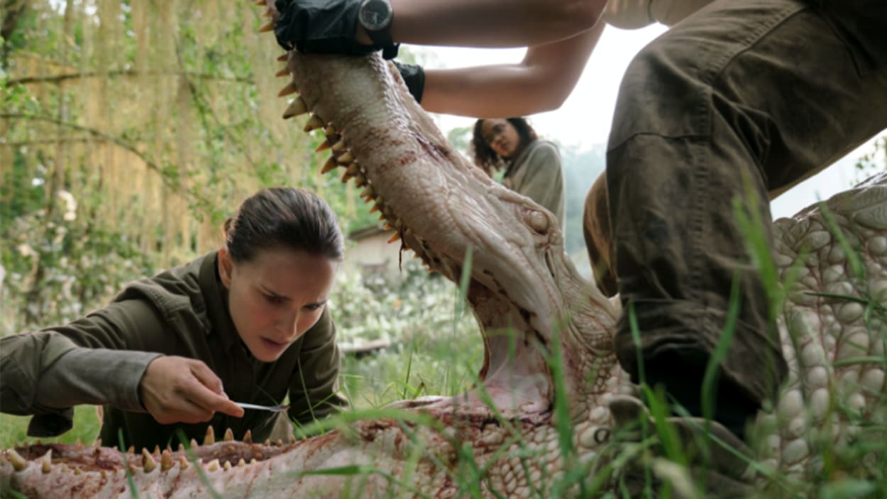 Natalie Portman examine la gueule d'un reptile dans une image tirée du film <i>Annihilation</i>, d'Alex Garland Natalie Portman examine la gueule d'un reptile dans une image tirée du film <i>Annihilation</i>, d'Alex Garland