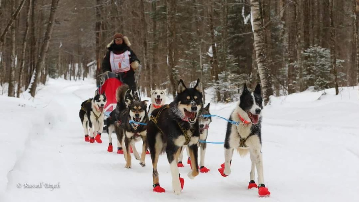 On voit les chiens attelés en avant-plan avec le meneur Rémy Leduc à l'arrière On voit les chiens attelés en avant-plan avec le meneur Rémy Leduc à l'arrière