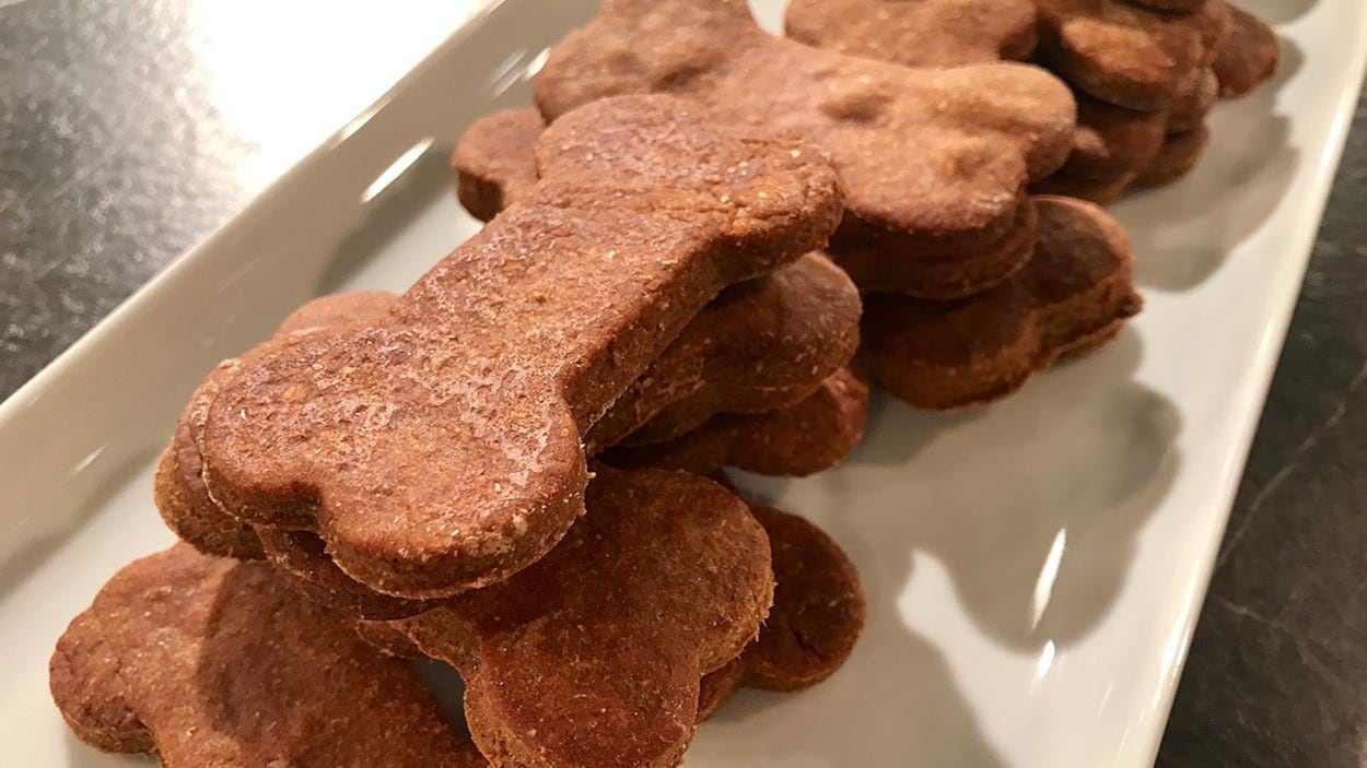 Biscuits Pour Chien | Marina Orsini | ICI Radio-Canada.ca Télé