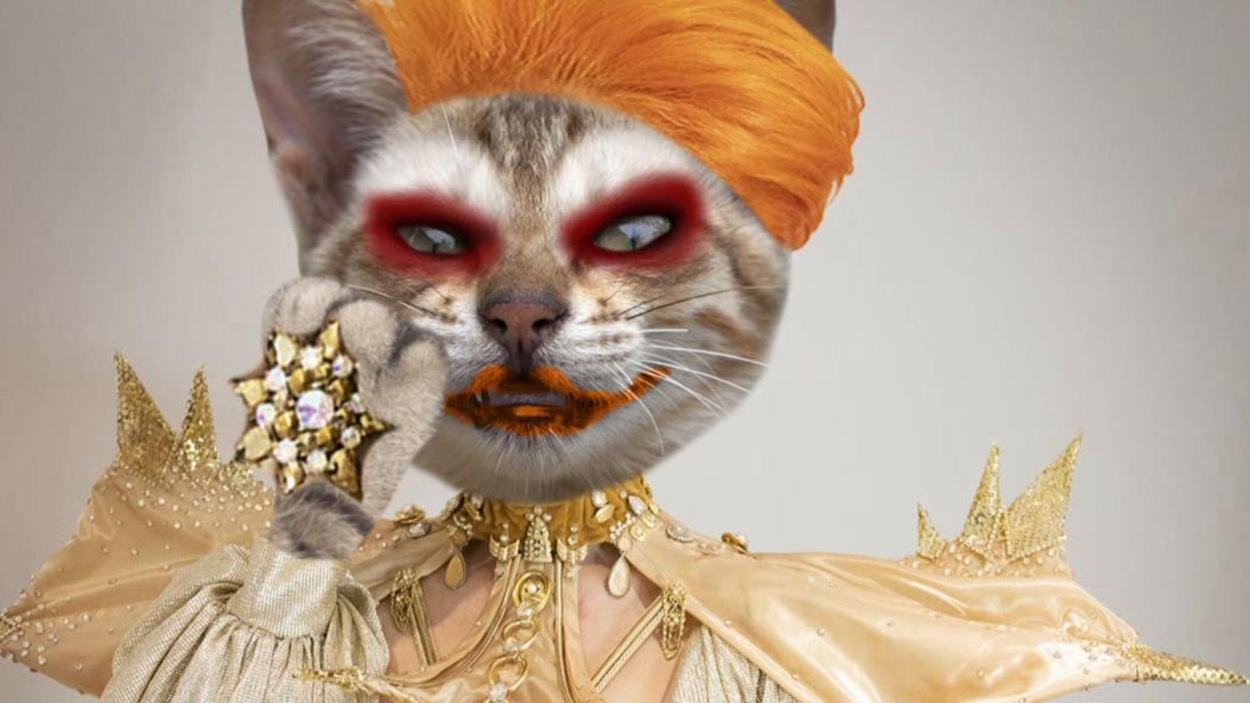 Un chat porte une robe dorée, des bijoux, une chevelure orange et du maquillage. Un chat porte une robe dorée, des bijoux, une chevelure orange et du maquillage.