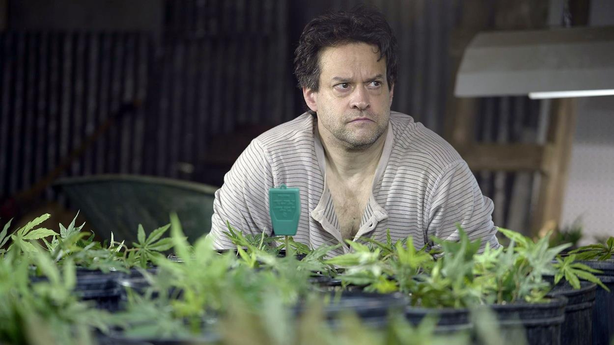 Alexis Martin devant des plants de pot Alexis Martin devant des plants de pot