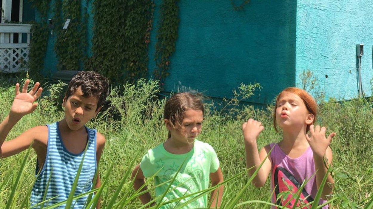 Trois enfants jouent au milieu d'herbes hautes. Trois enfants jouent au milieu d'herbes hautes.