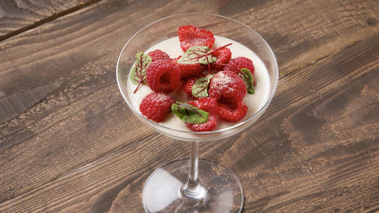 Panna cotta au yogourt et sucre d’érable, framboises et oseille sanguine servie dans une coupe. Panna cotta au yogourt et sucre d’érable, framboises et oseille sanguine servie dans une coupe.