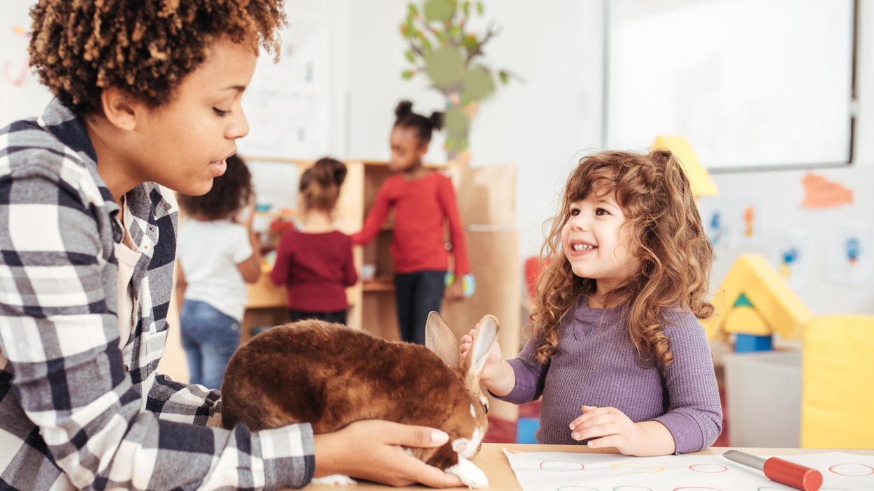 Une professeure et une élève s'amusent avec un lapin dans une salle de classe. Une professeure et une élève s'amusent avec un lapin dans une salle de classe.