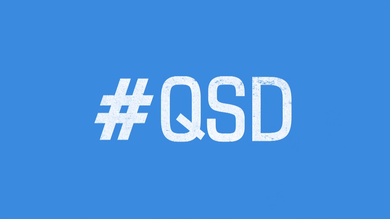 Le logo de QSD