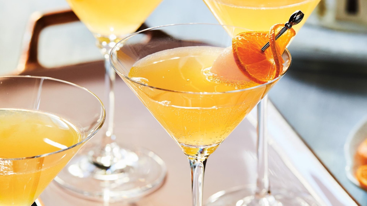 Épisodes Ricardo ICI RadioCanada.ca Télé