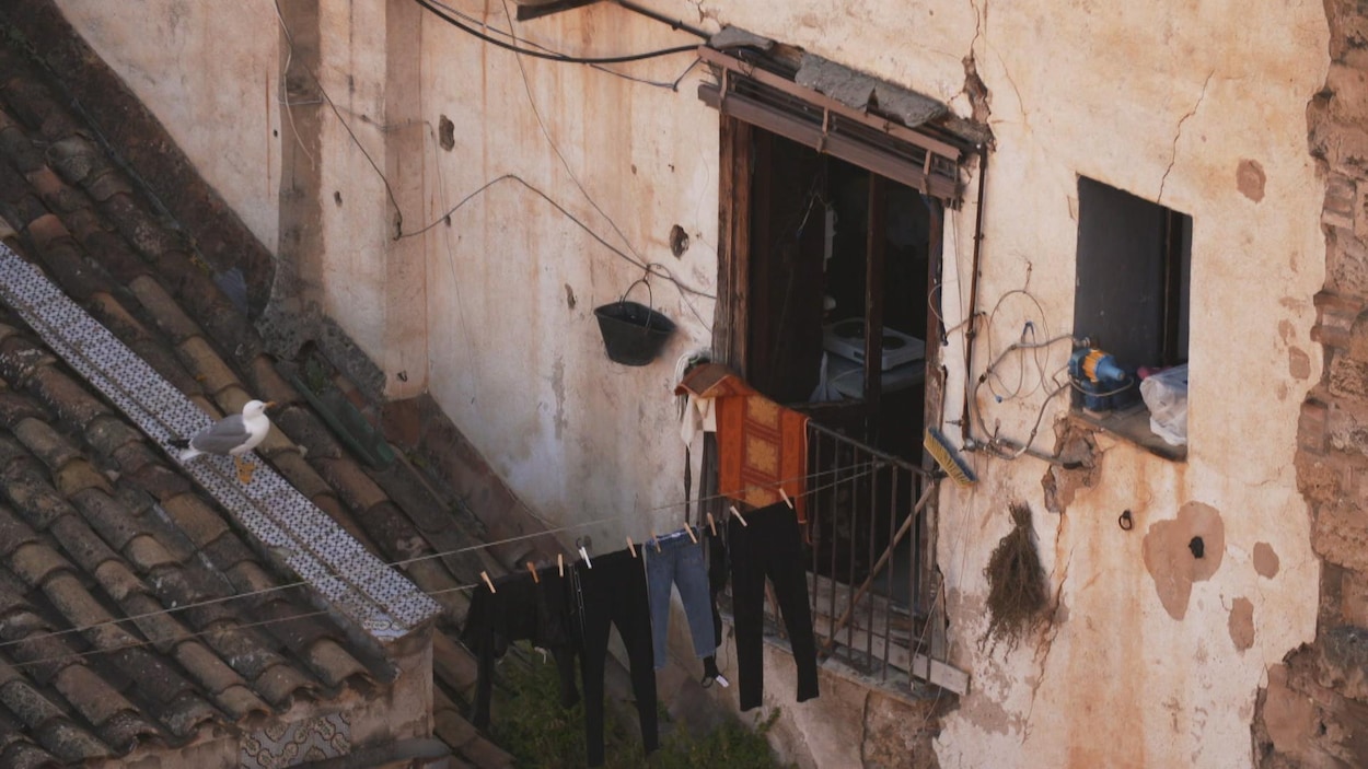 Cosa Nostra De Palerme à New York Documentaires | Les grands reportages | ICI RDI