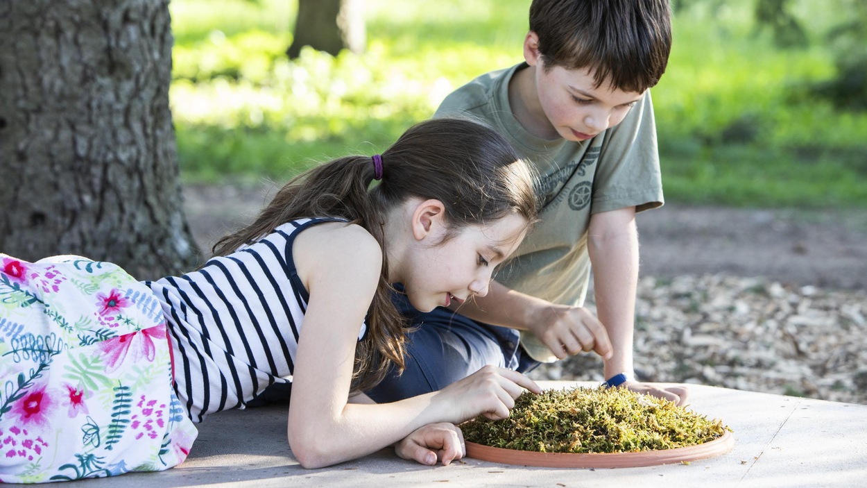 Deux enfants examinent du lichen. Deux enfants examinent du lichen.