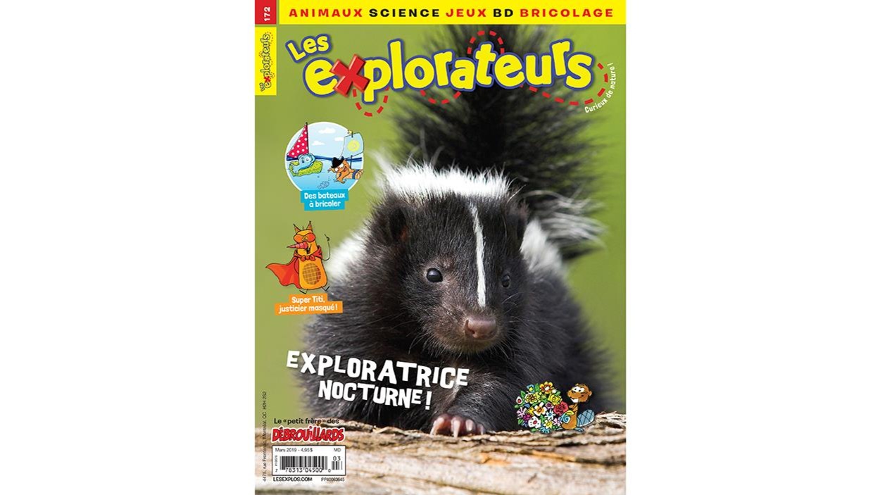 Page couverture du magazine Les explorateurs illustrant une mouffette : exploratrice nocturne! Page couverture du magazine Les explorateurs illustrant une mouffette : exploratrice nocturne!
