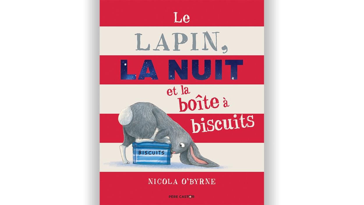 Page couverture du livre Le lapin, la nuit et la boîte à biscuits Page couverture du livre Le lapin, la nuit et la boîte à biscuits