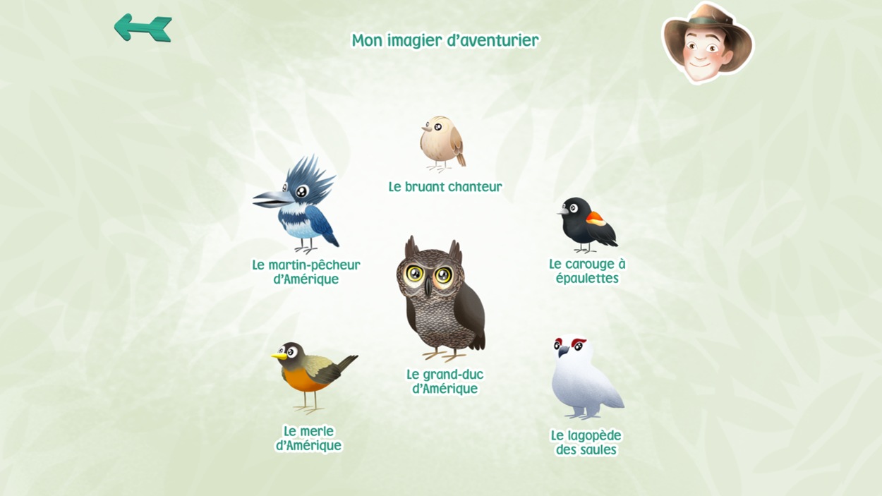 On voit notamment le merle d'Amérique, le grand-duc d'Amérique, le bruant chanteur, le lagopède des saules On voit notamment le merle d'Amérique, le grand-duc d'Amérique, le bruant chanteur, le lagopède des saules