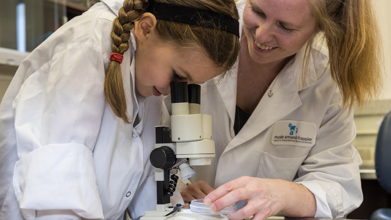 Elles regardent dans un microscope Elles regardent dans un microscope