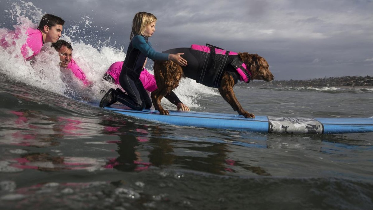 Il est sur la planche avec une petite fille. Ils sont sur des vagues à la mer, avec des surfeurs avec eux. Il est sur la planche avec une petite fille. Ils sont sur des vagues à la mer, avec des surfeurs avec eux.
