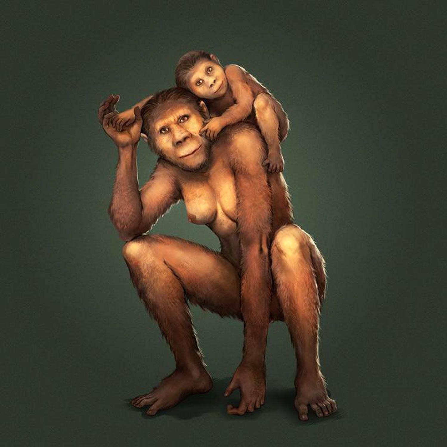 Illustration montrant une mère australopithèque et son bébé. Illustration montrant une mère australopithèque et son bébé.