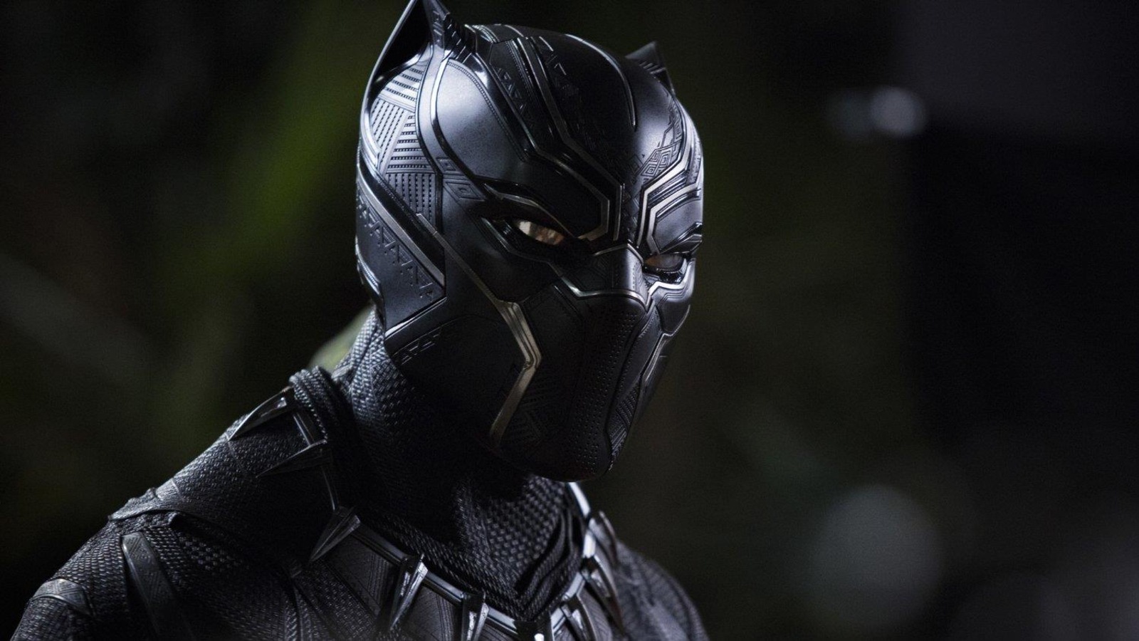 Image promotionnelle du film « Black Panther ». Image promotionnelle du film « Black Panther ».