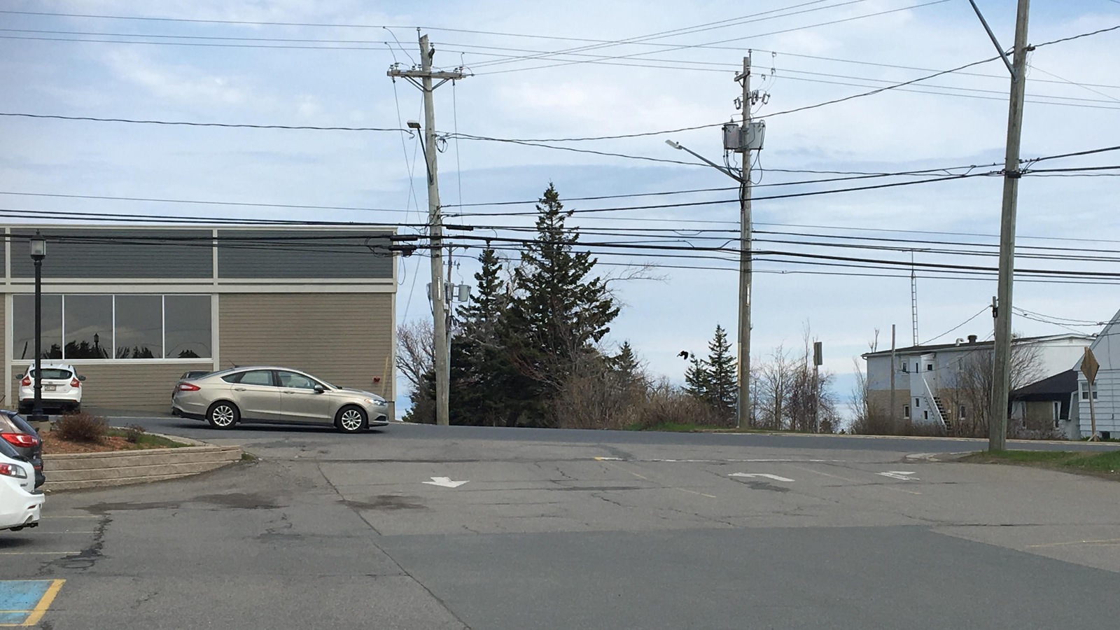 Le chevreuil a traversé le boulevard Saint-Pierre pour se rendre derrière le centre commercial Place Caraquet. Le chevreuil a traversé le boulevard Saint-Pierre pour se rendre derrière le centre commercial Place Caraquet.