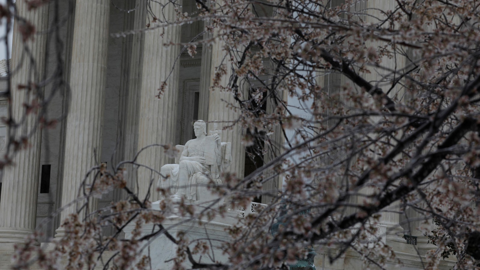 Les branches gelées d'un cerisier en fleur devant la Cour suprême des États-Unis, à Washington, le 14 mars 2017 Les branches gelées d'un cerisier en fleur devant la Cour suprême des États-Unis, à Washington, le 14 mars 2017