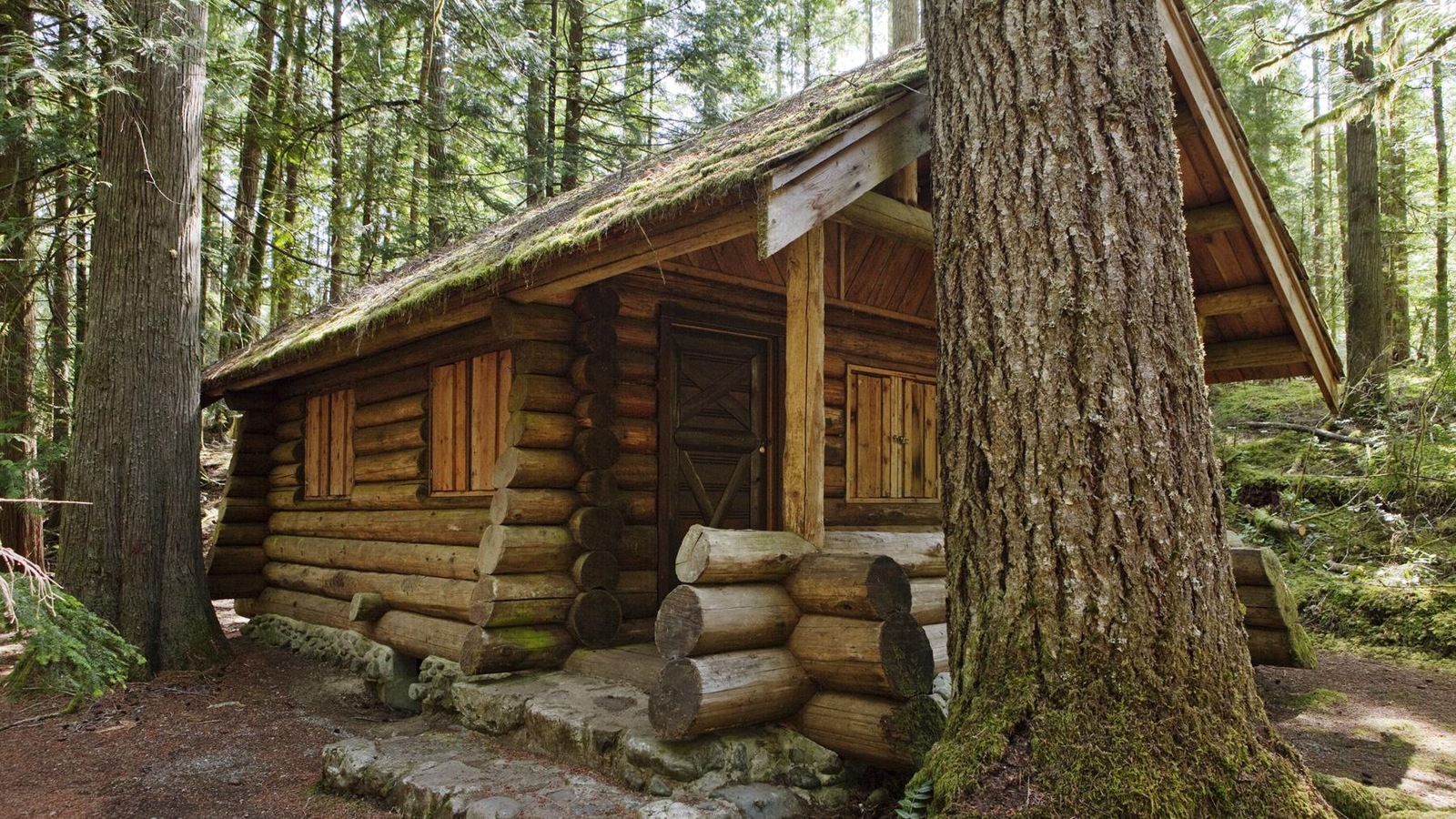 Un petit chalet en vois dans la forêt. Un petit chalet en vois dans la forêt.