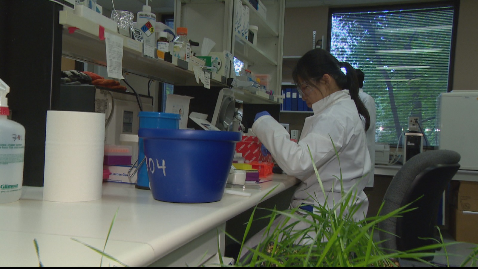 Une chercheuse dans un laboratoire du Conseil national de recherches du Canada à Saskatoon Une chercheuse dans un laboratoire du Conseil national de recherches du Canada à Saskatoon