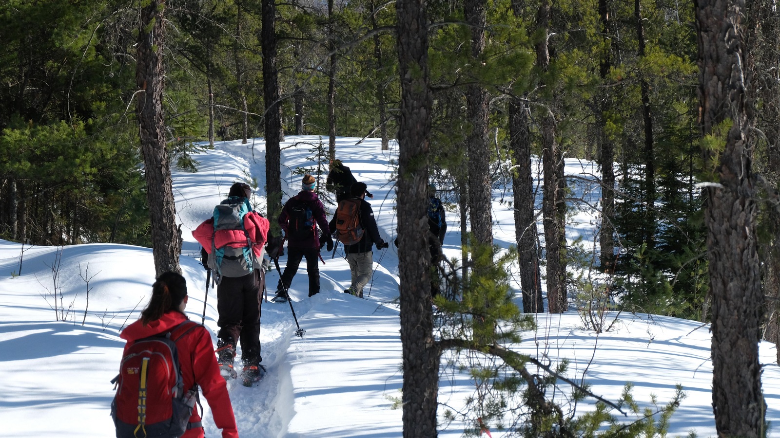 Hiver comme été, les collines Kekeko sont une destination plein air de choix. Hiver comme été, les collines Kekeko sont une destination plein air de choix.