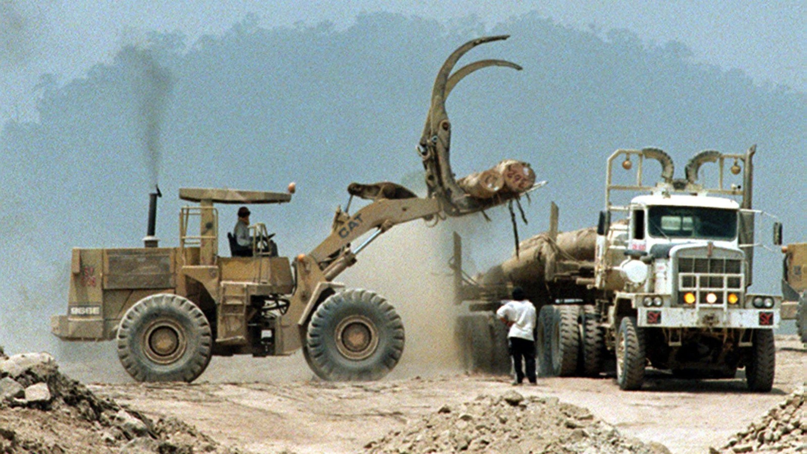 Coupe forestière en 2001 dans l’État de Sarawak, en Malaisie Coupe forestière en 2001 dans l’État de Sarawak, en Malaisie