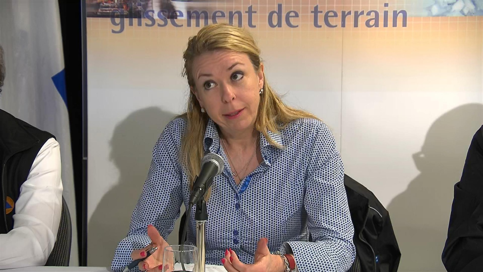 La ministre du Travail, Dominique Vien La ministre du Travail, Dominique Vien