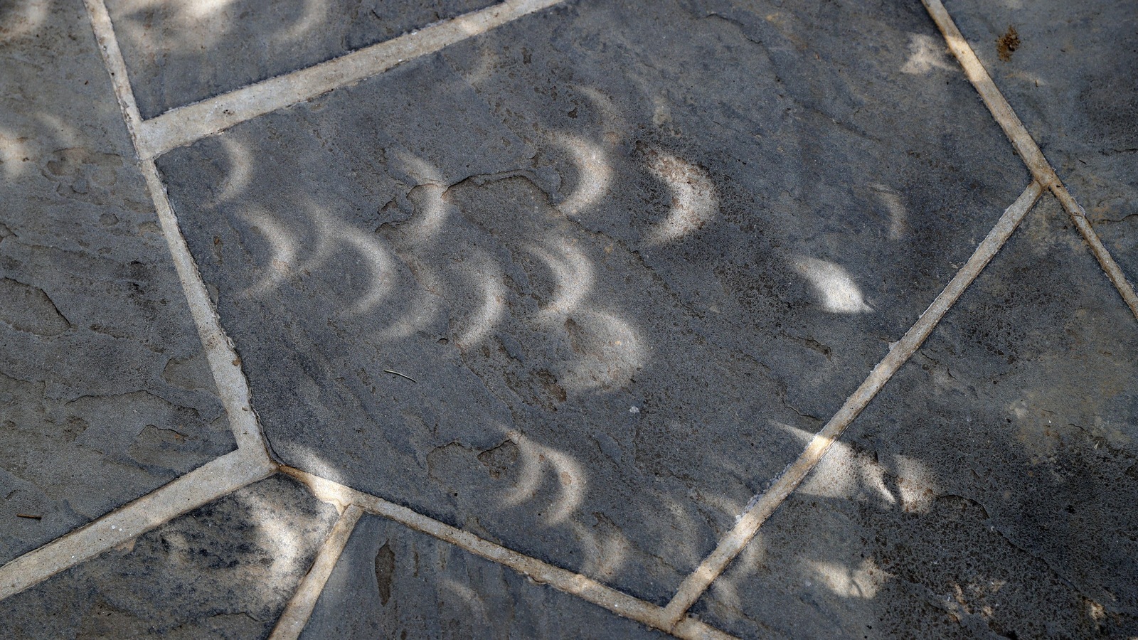 La lumière qui passe à travers les feuilles fait apparaître au sol le phénomène de l'éclipse solaire, ici sur un trottoir de Washington. La lumière qui passe à travers les feuilles fait apparaître au sol le phénomène de l'éclipse solaire, ici sur un trottoir de Washington.