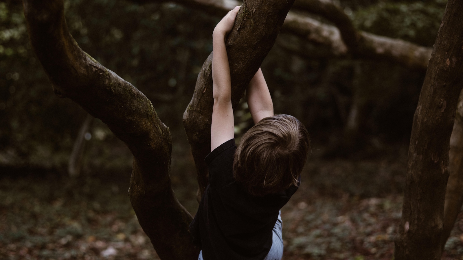 Un enfant joue dans les arbres en forêt. Un enfant joue dans les arbres en forêt.