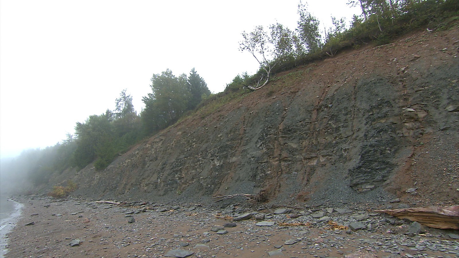 La falaise de Miguasha, en Gaspésie La falaise de Miguasha, en Gaspésie