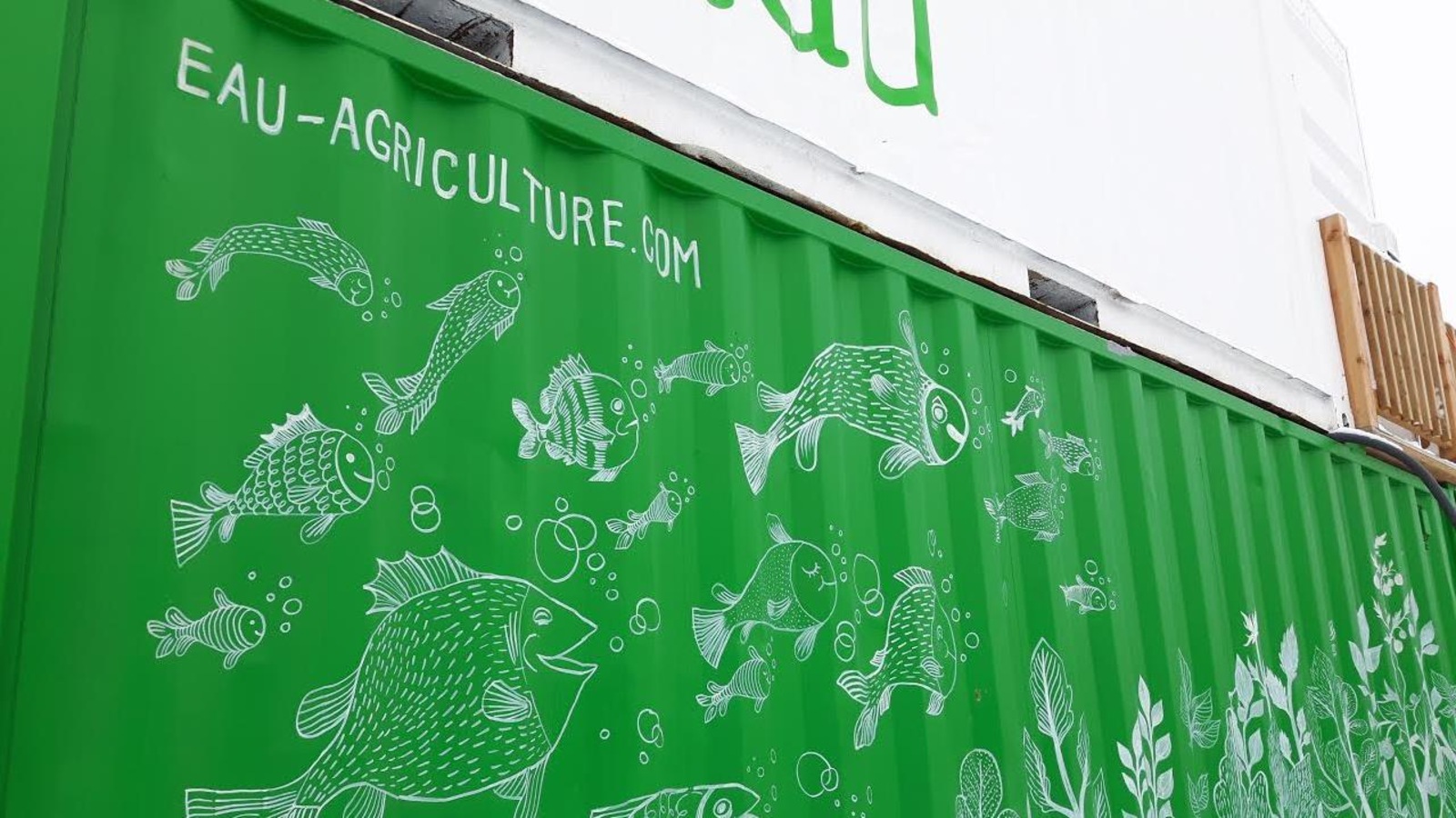 Le conteneur du dessous abritera un élevage de poissons Le conteneur du dessous abritera un élevage de poissons