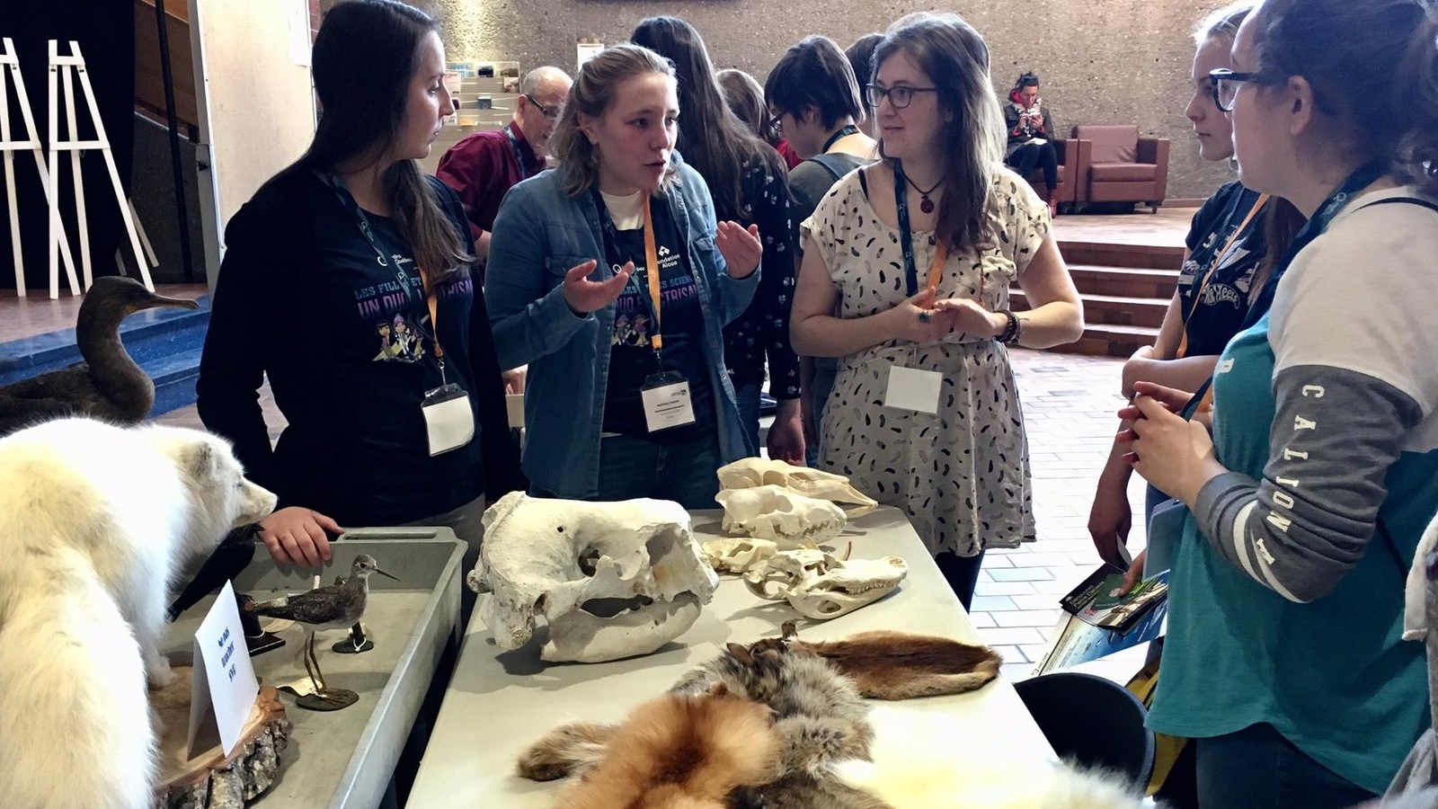 Un kiosque avec des peaux et des os d'animaux entouré de jeunes femmes Un kiosque avec des peaux et des os d'animaux entouré de jeunes femmes