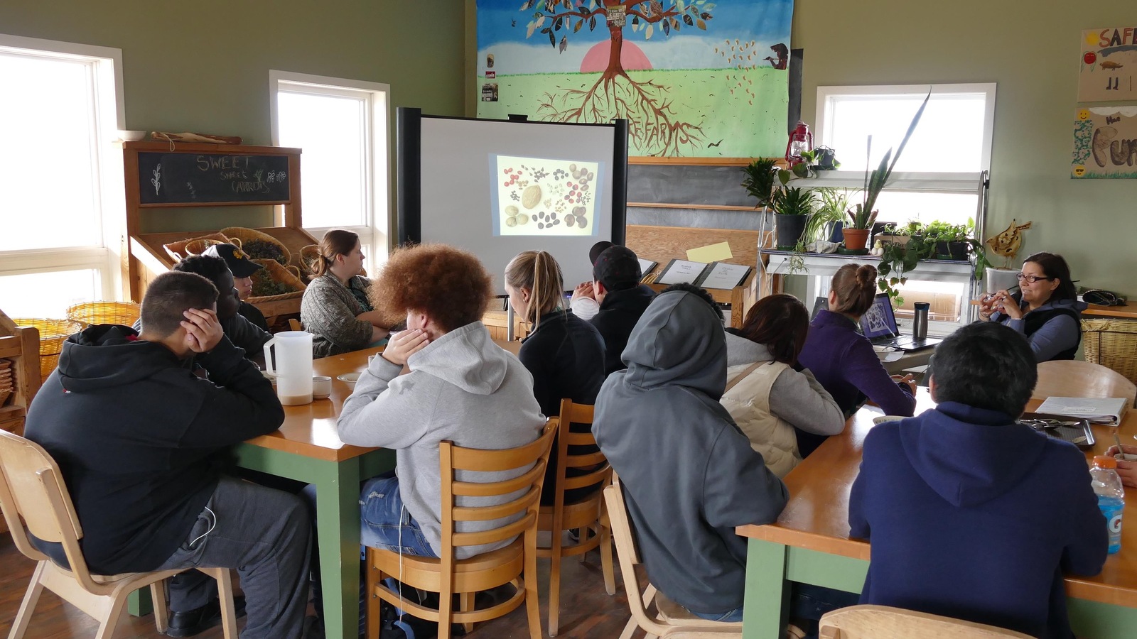 Un groupe d'adolescents écoutent une présentation d'une éducatrice en regardant des images de graines de semence projetés sur un écran. Un groupe d'adolescents écoutent une présentation d'une éducatrice en regardant des images de graines de semence projetés sur un écran.