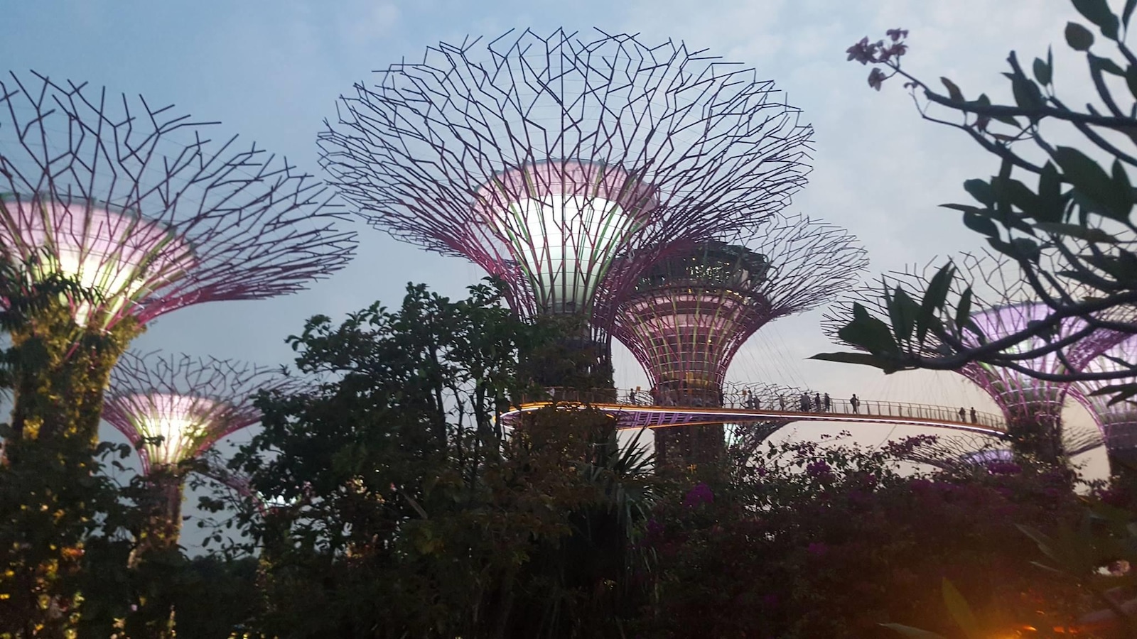 Garden by the bay, un jardin de Singapour aux allures futuristes. Garden by the bay, un jardin de Singapour aux allures futuristes.