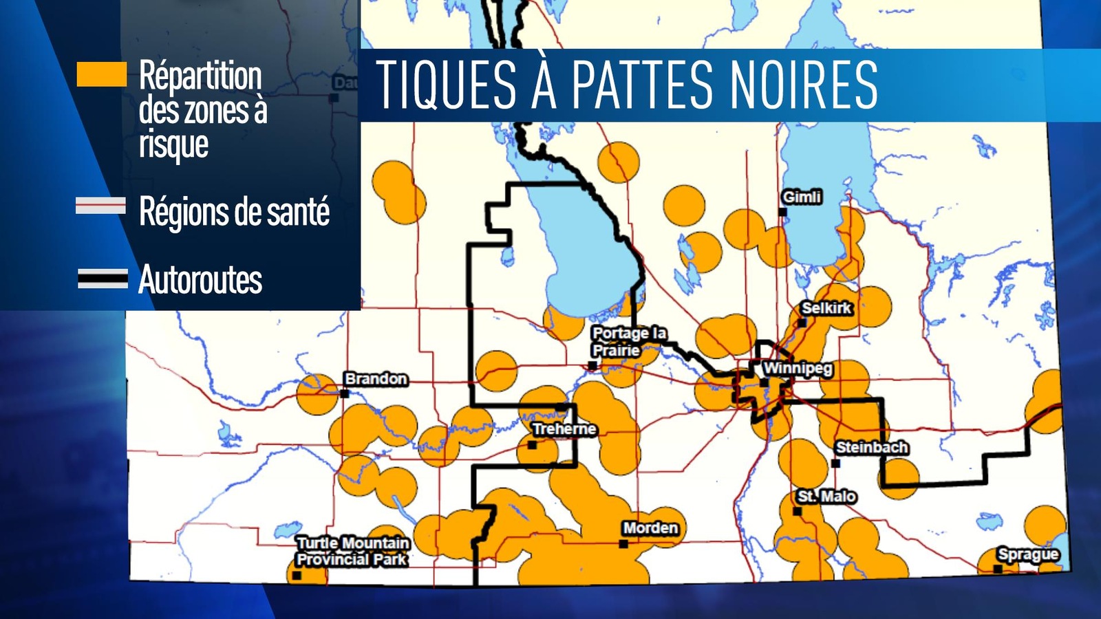 Une carte du Manitoba avec des ronds jaunes qui indiquent les zones à risque pour les tiques à pattes noires. Une carte du Manitoba avec des ronds jaunes qui indiquent les zones à risque pour les tiques à pattes noires.