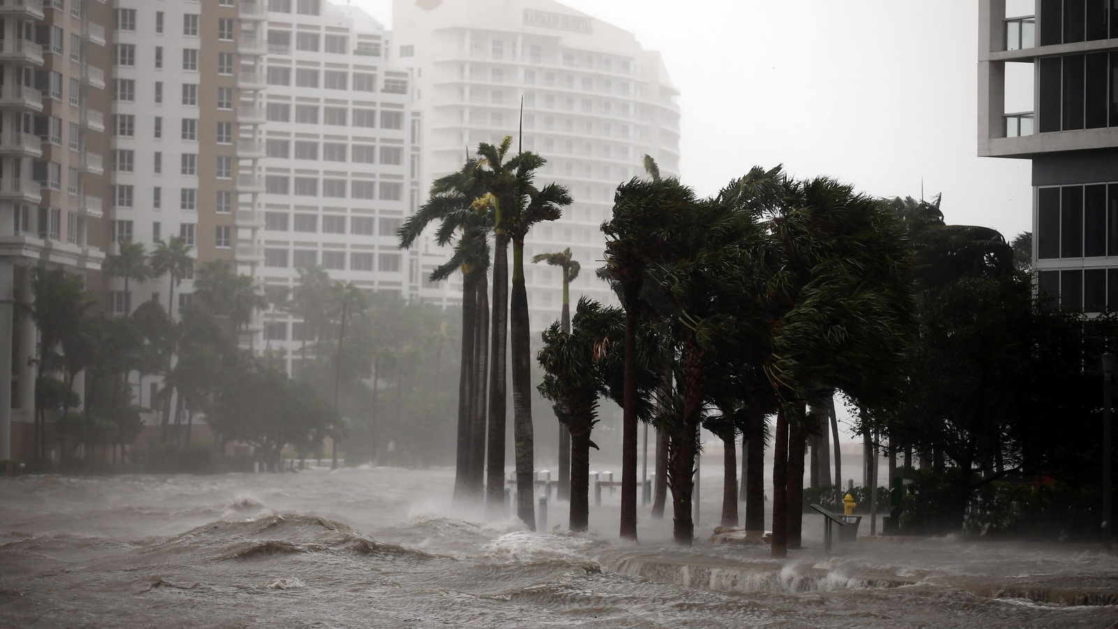 Le niveau des eaux monte à Miami. Le niveau des eaux monte à Miami.