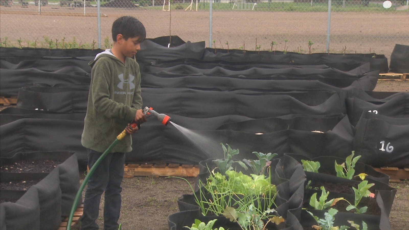 Matis arrose son jardin Matis arrose son jardin