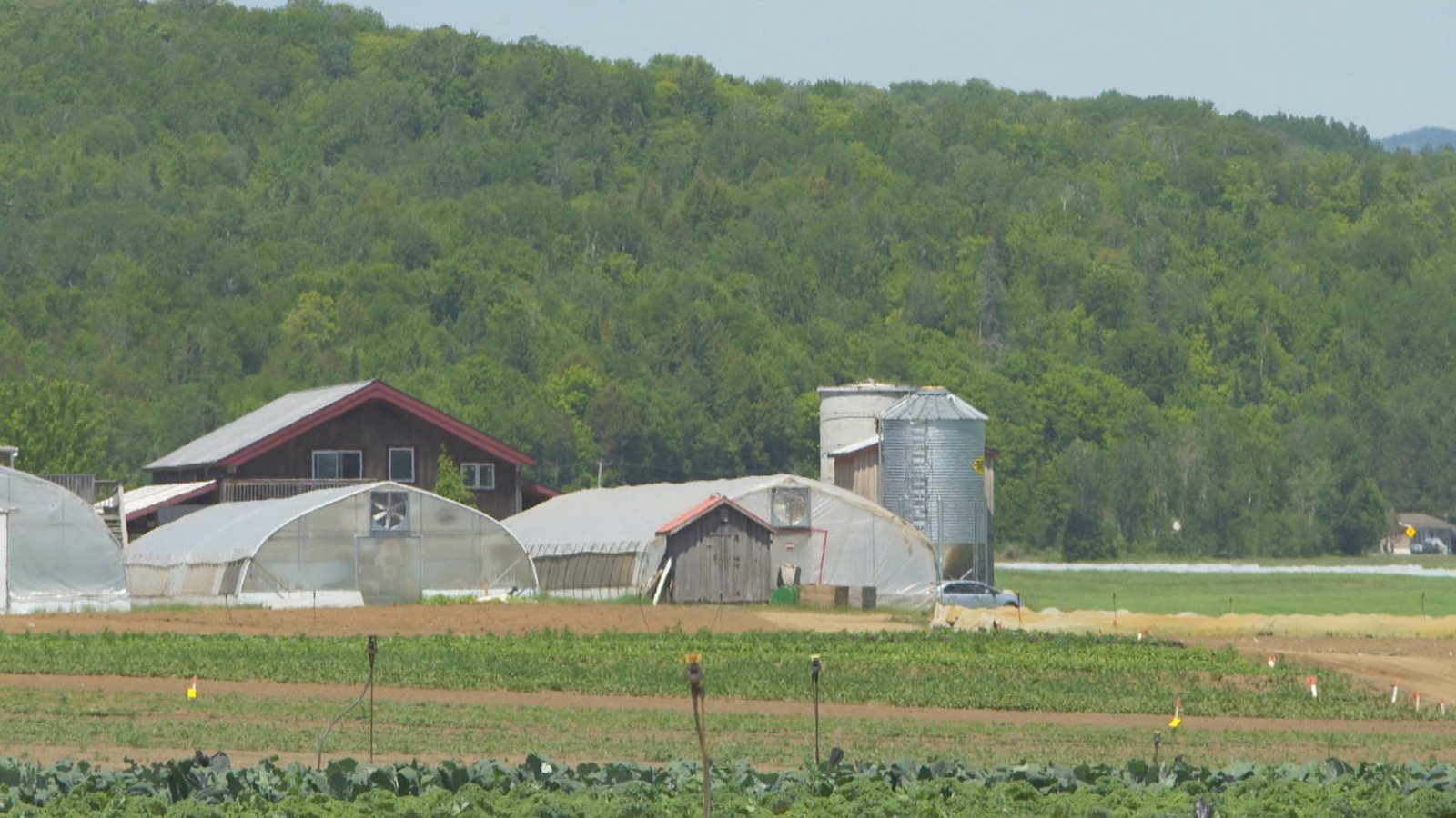 Pour les petits producteurs en serres, faire le virage vers l'hydroélectricité peut demander un investissement considérable. Pour les petits producteurs en serres, faire le virage vers l'hydroélectricité peut demander un investissement considérable.