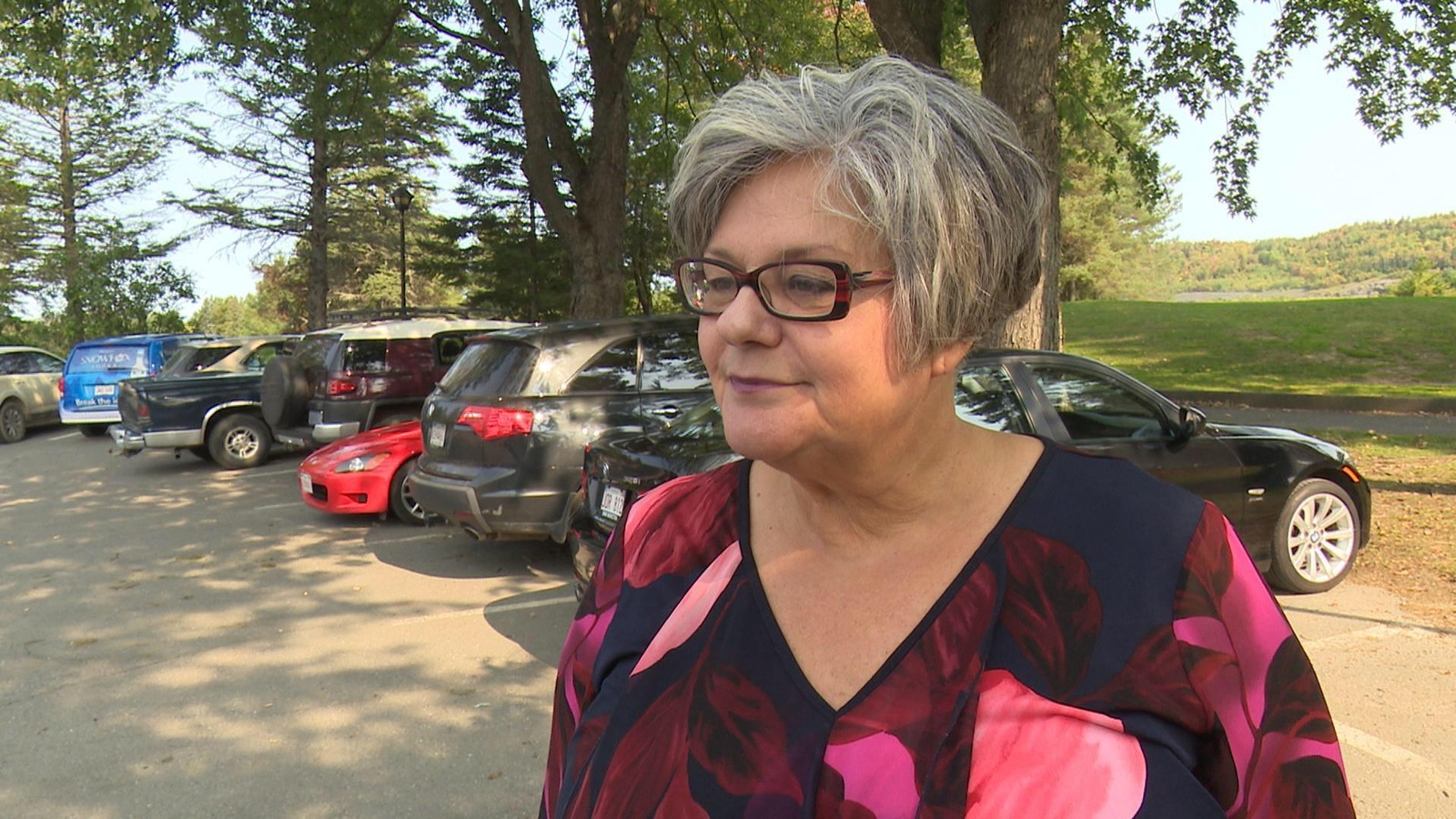 Madeleine Dubé est la seule députée francophone du Parti progressiste-conservateur du Nouveau-Brunswick Madeleine Dubé est la seule députée francophone du Parti progressiste-conservateur du Nouveau-Brunswick