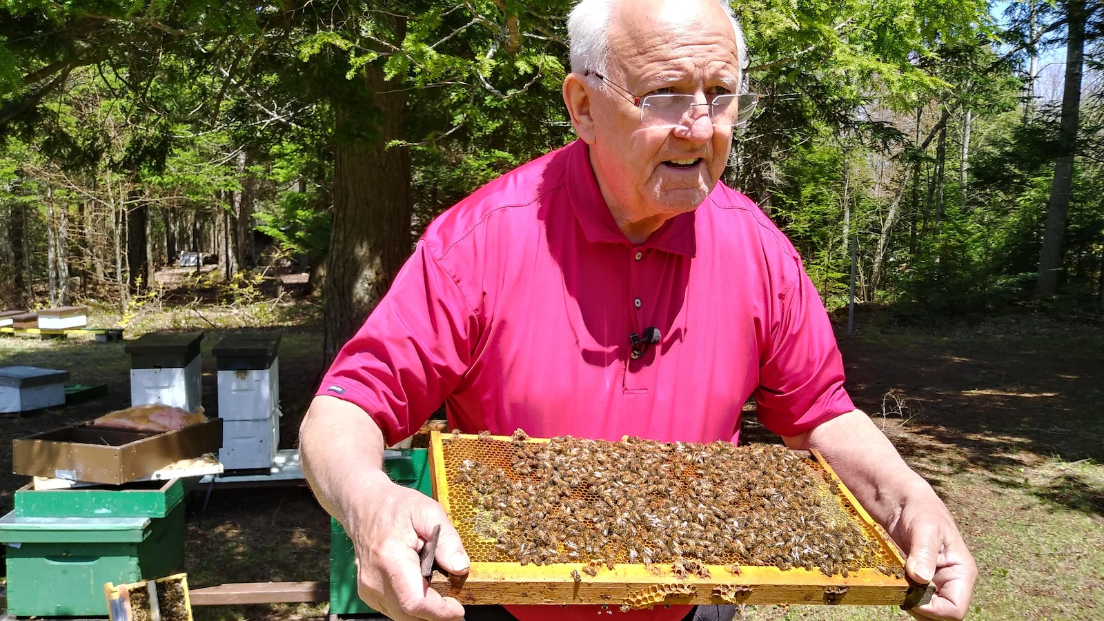L’apiculteur Paul Vautour, à Irishtown, au Nouveau-Brunswick, L’apiculteur Paul Vautour, à Irishtown, au Nouveau-Brunswick,