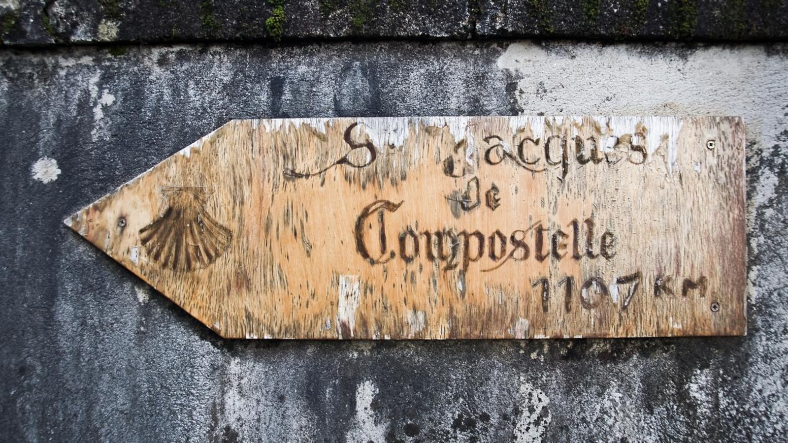 Un panneau en bois indiquant le chemin de Saint-Jacques-de-Compostelle