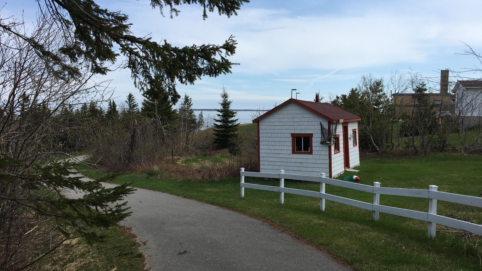 Le chevreuil téméraire a emprunté la piste cyclable de Caraquet, à l'arrière de l'Hôpital de l'Enfant-Jésus. Le chevreuil téméraire a emprunté la piste cyclable de Caraquet, à l'arrière de l'Hôpital de l'Enfant-Jésus.