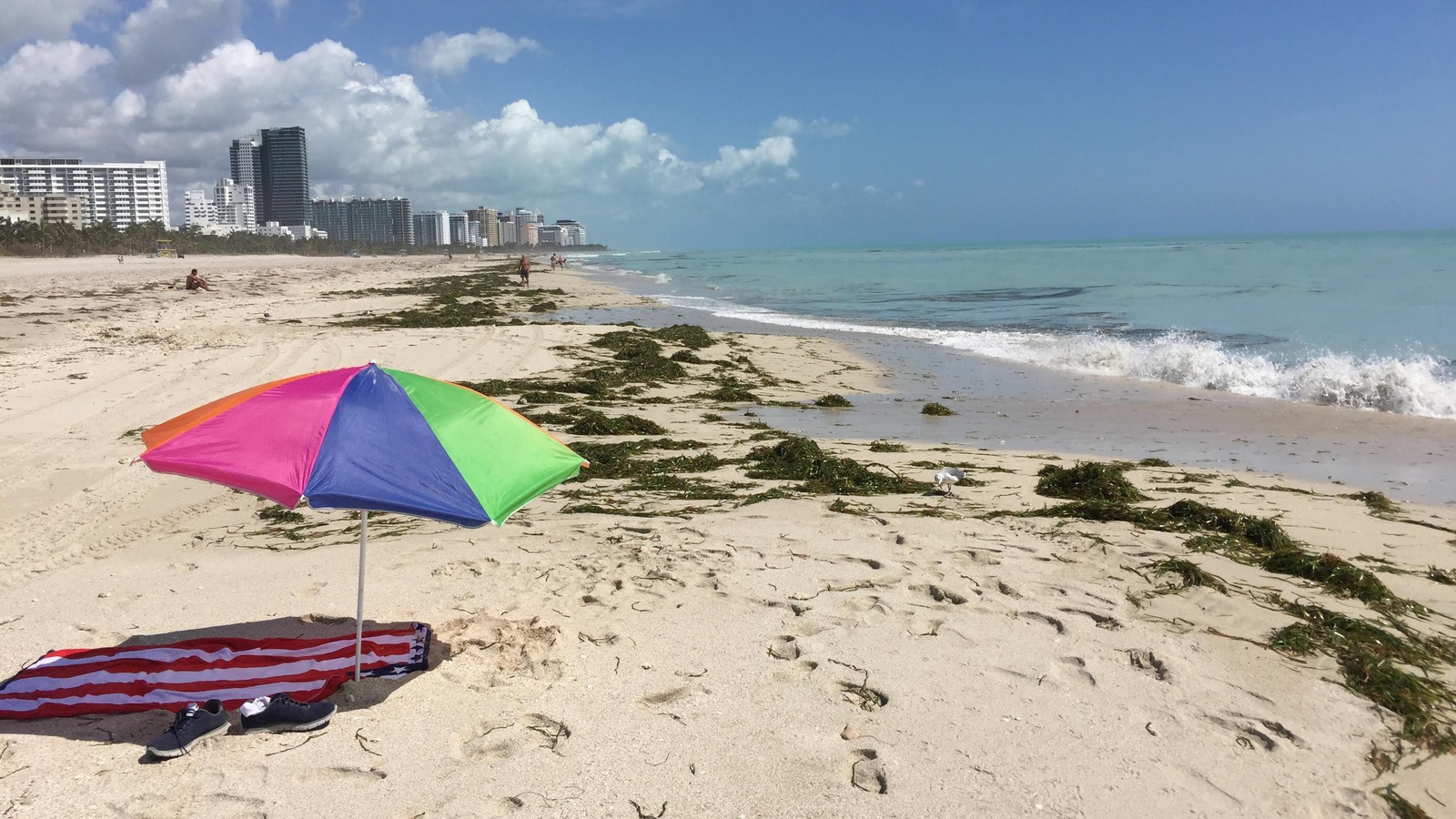 Une plage de la Floride, après le passage de l'ouragan Irma Une plage de la Floride, après le passage de l'ouragan Irma